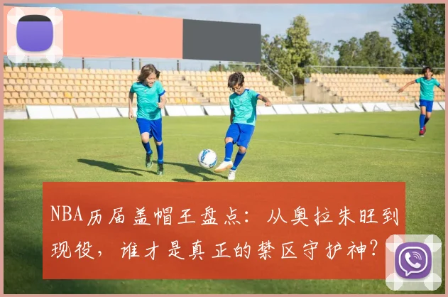 NBA历届盖帽王盘点：从奥拉朱旺到现役，谁才是真正的禁区守护神？