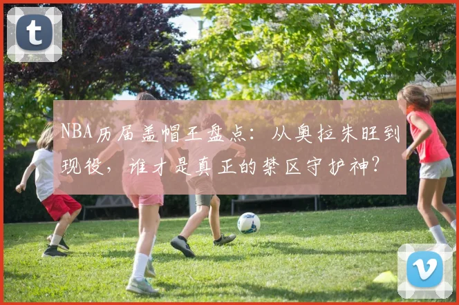 NBA历届盖帽王盘点:从奥拉朱旺到现役,谁才是真正的禁区守护神?